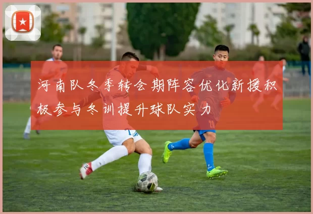河南队冬季转会期阵容优化新援积极参与冬训提升球队实力