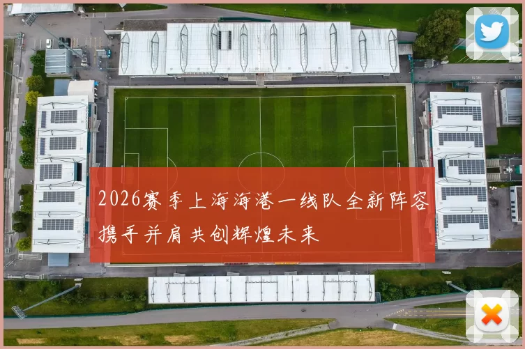 2026赛季上海海港一线队全新阵容携手并肩共创辉煌未来